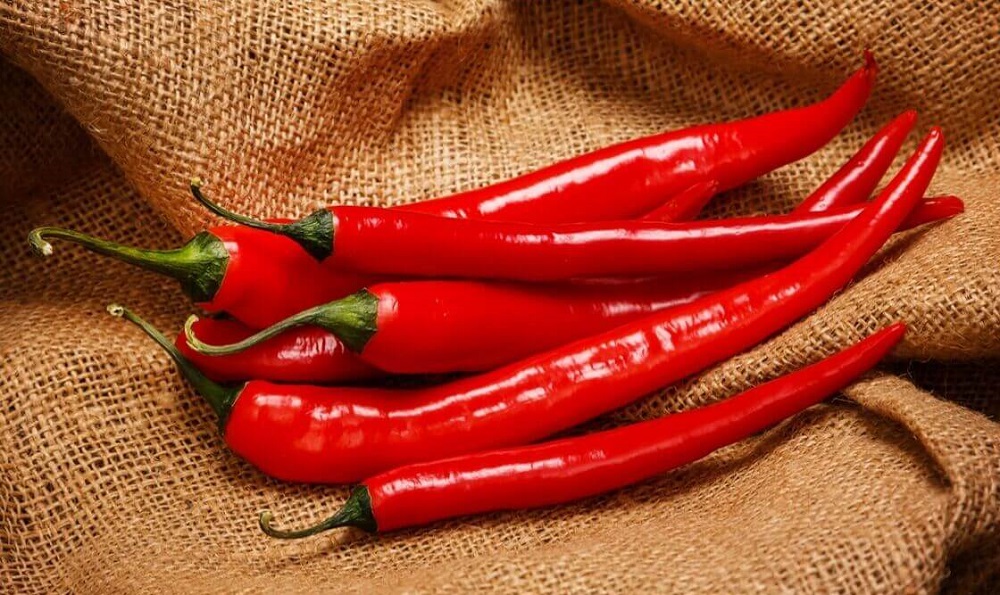 Несколько стручков острого перца Красный перец на мешковине