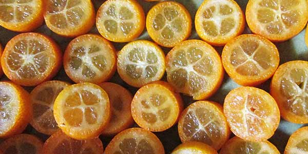 кумкват-порезанный