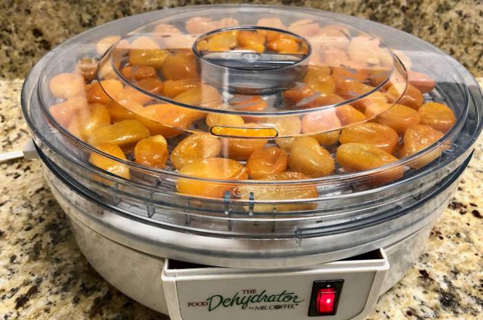 Вяление кумквата в электросушилке Кумкват в сушилке