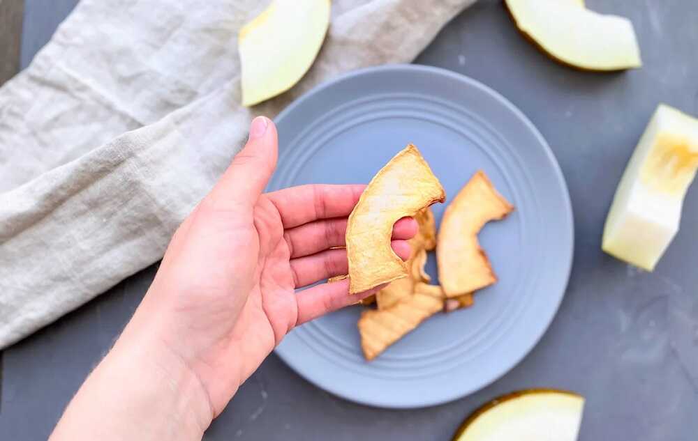 Чипсы из дыни Кусочек сушеной дыни в руке