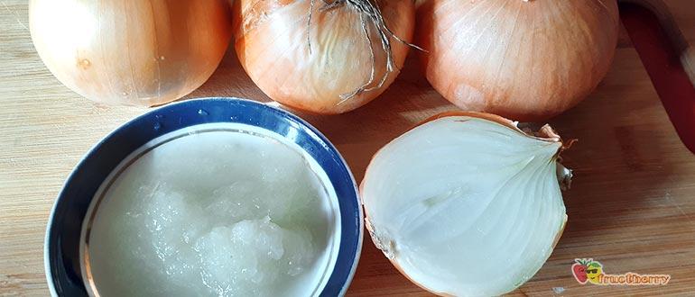 лечебные свойства репчатого лука