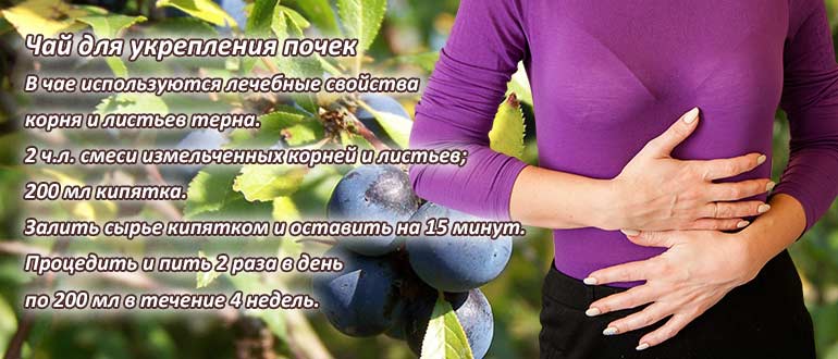 Лечебный терн