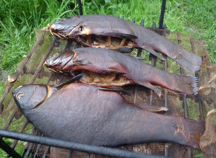 Как выглядит линь горячего копчения Линь на решётке