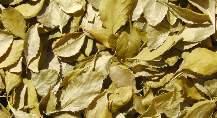 Сушёные листья барбариса для отвара Листья для отвара