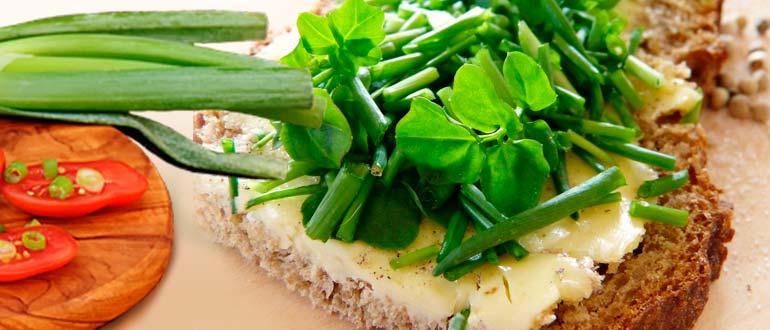 Лук зеленый в кулинарии