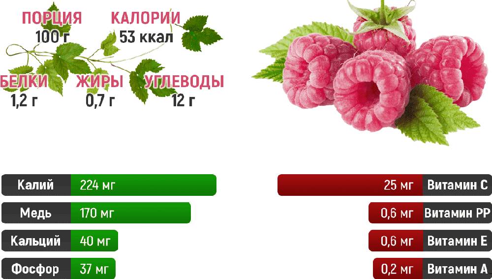 Химический состав малины Малина и её состав