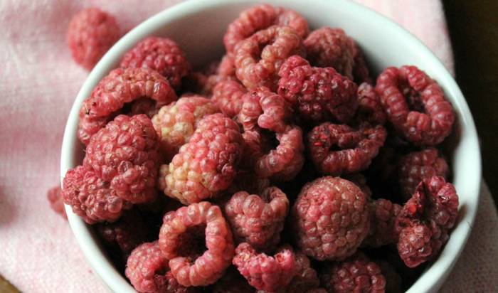 Высушенная в дегидраторе малина Малина из дегидратора