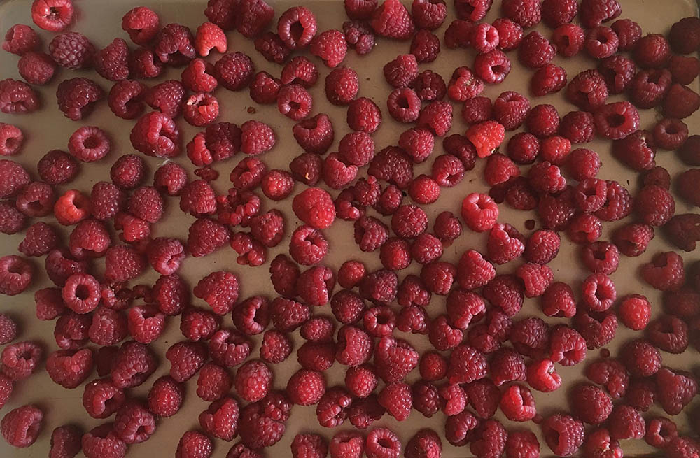 Сушка малины на воздухе Малина на пергаменте