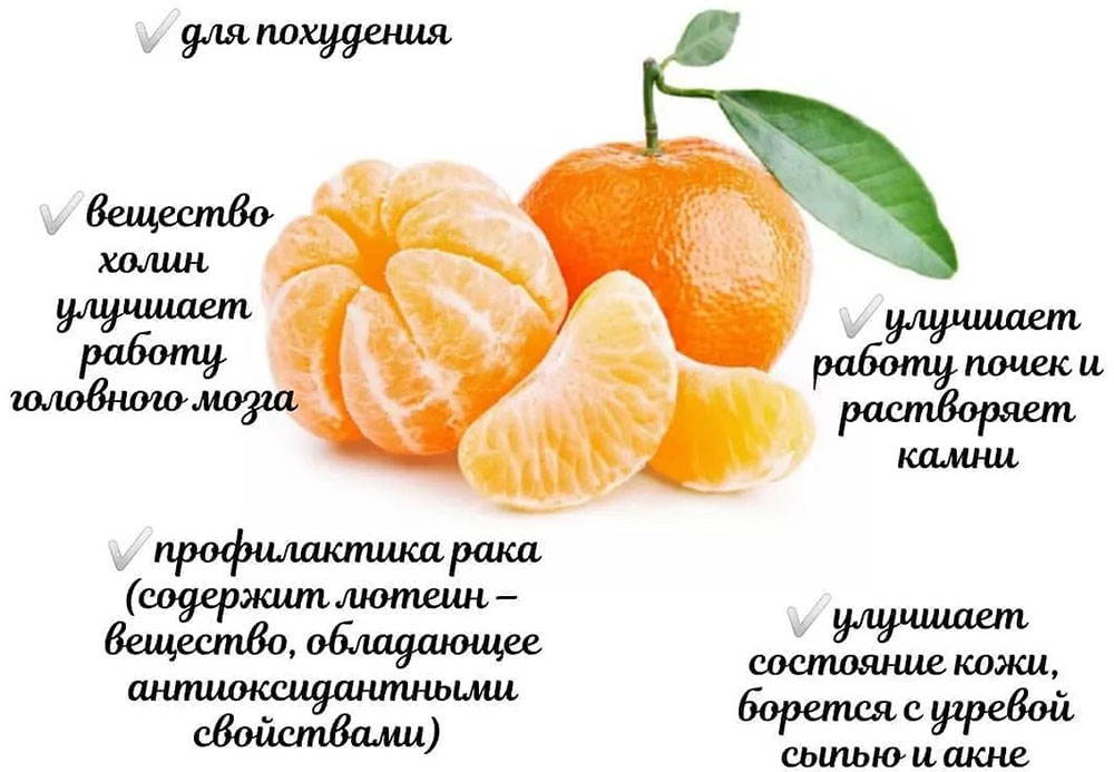 Полезные свойства мандаринов Мандарины и польза