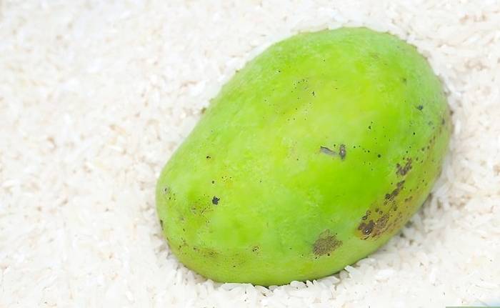 Дозревание манго в рисе Манго и рис