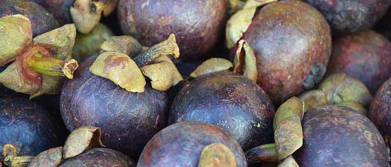 Фрукты Вьетнама - описание и фото тропической экзотики