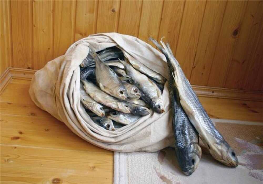 Хранение вяленой рыбы в мешке Мешок с вяленой рыбой