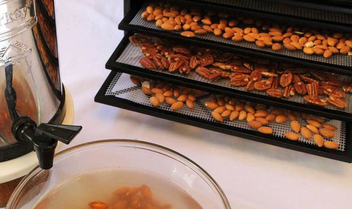 Сушка миндаля в электросушилке Миндаль в сушилке