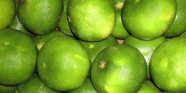 много-свити