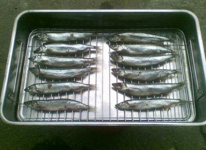 Мойва в коптильне Копчение мойвы