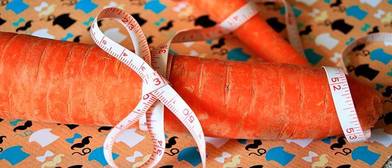 морковь для похудения