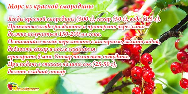 морс-из-красной-смородины
