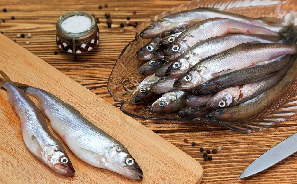 Как выглядит корюшка Морская малоротая корюшка