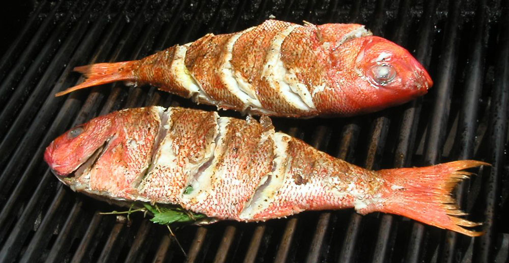 Морской окунь на мангале Морской окунь