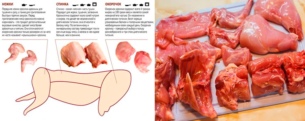 Характеристики мяса кролика Мясо кролика