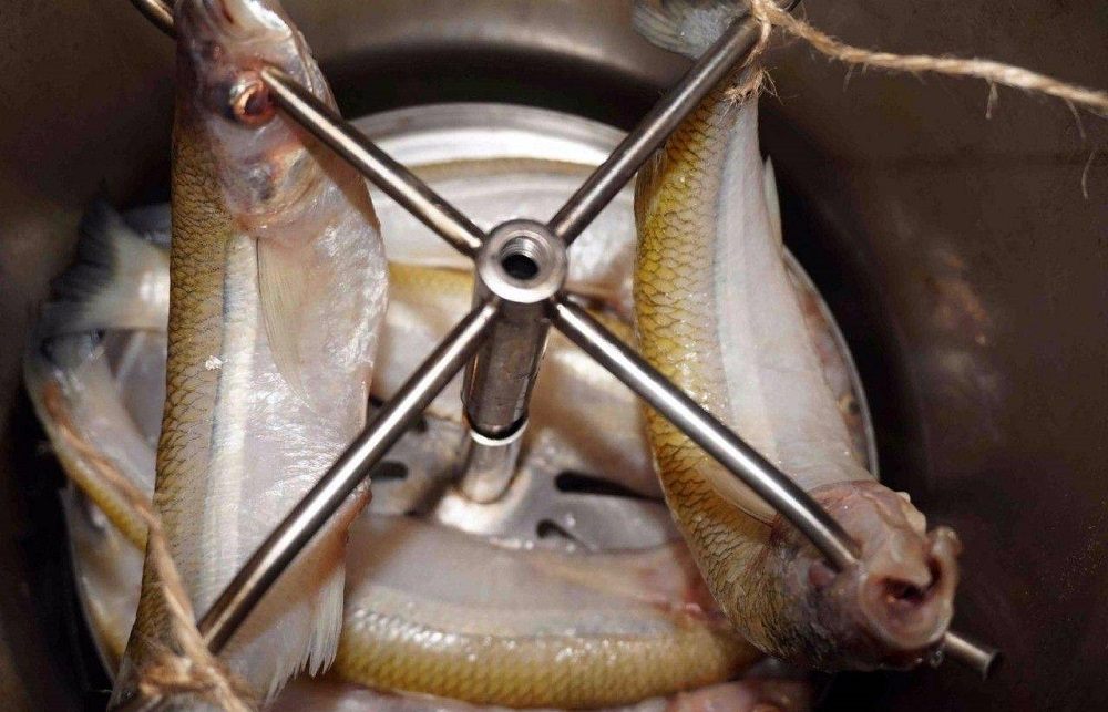 Копчение корюшки в электрической коптильне Начало копчения корюшки