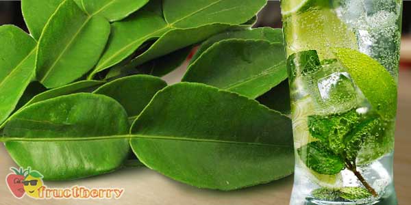 напитки-с-каффиром