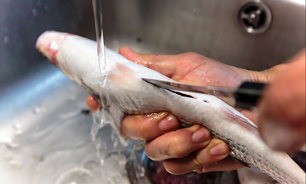 Очистка кефали от внутренностей Нож и кефаль