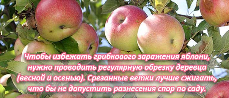 обрезка дерева