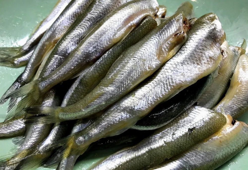 Как правильно почистить корюшку Очищенные тушки корюшки