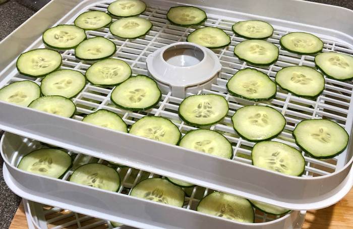 Сушка огурцов в электросушилке Огурцы в сушилке