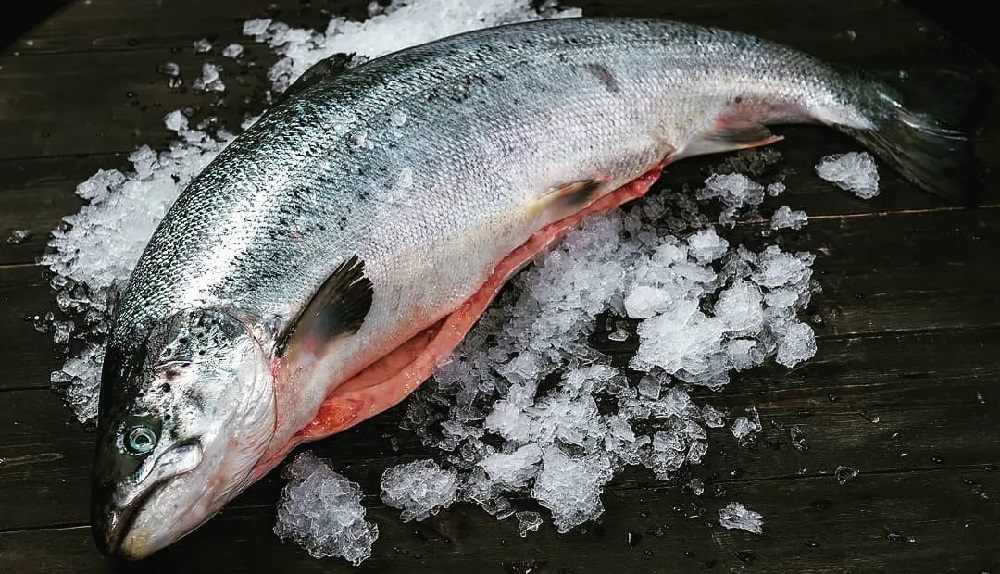 Как выглядит охлаждённая тушка форели Охлаждённая тушка форели