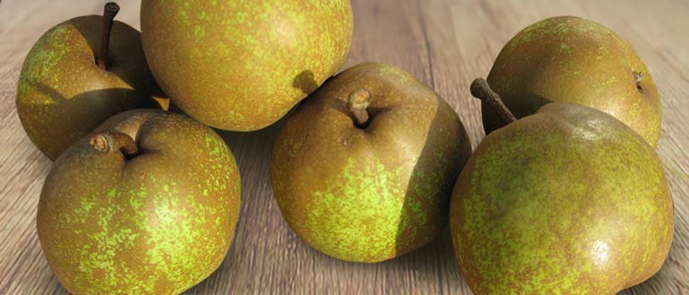 Оливье де Серр