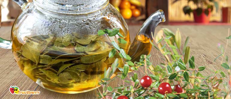 отвар листьев