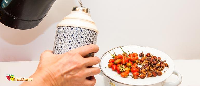 отвар шиповника в медицине