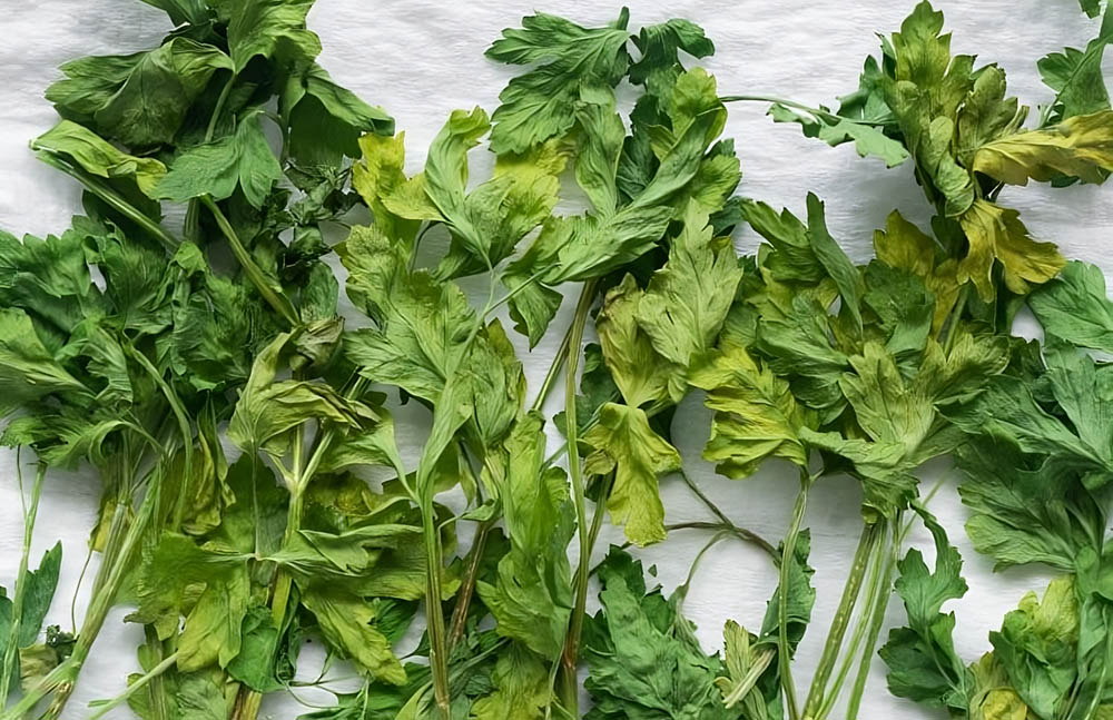 Высушенная в духовке петрушка Петрушка из духовки