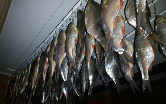 Сушка плотвы на балконе Плотва на балконе