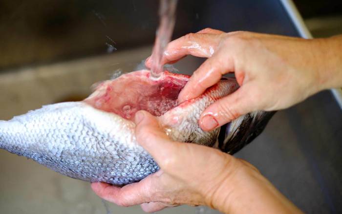 Промывание плотвы под проточной водой Плотва под водой