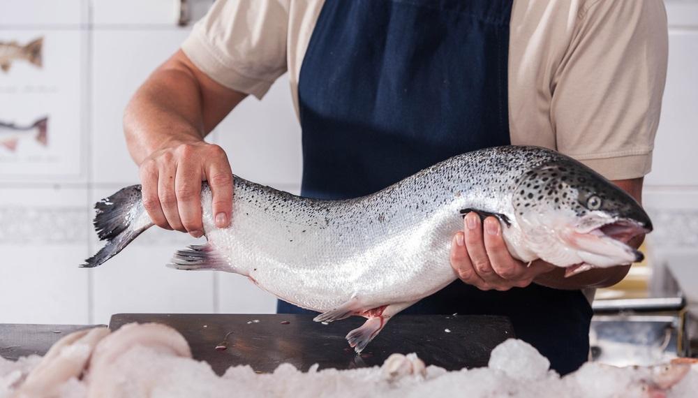 Как выбрать сёмгу в магазине Покупка сёмги в магазине