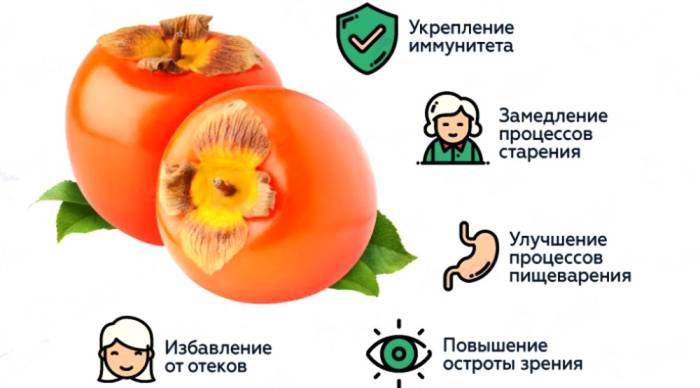 Чем полезна хурма для организма Полезные свойства хурмы