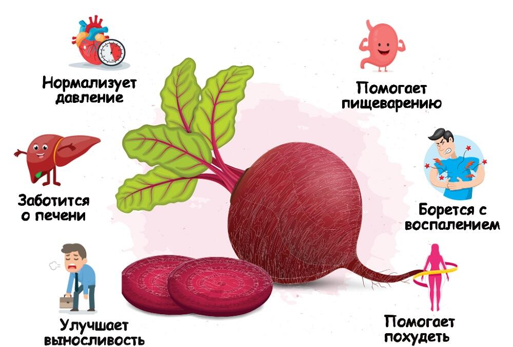 Чем полезна свекла для организма Полезные свойства свеклы