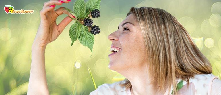 польза ежевики для женщин