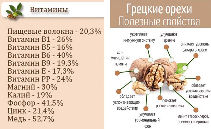 Состав и полезные свойства грецких орехов Польза грецких орехов