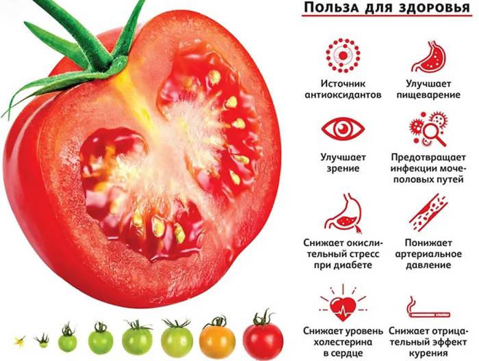 Польза томатов для здоровья Помидоры и польза