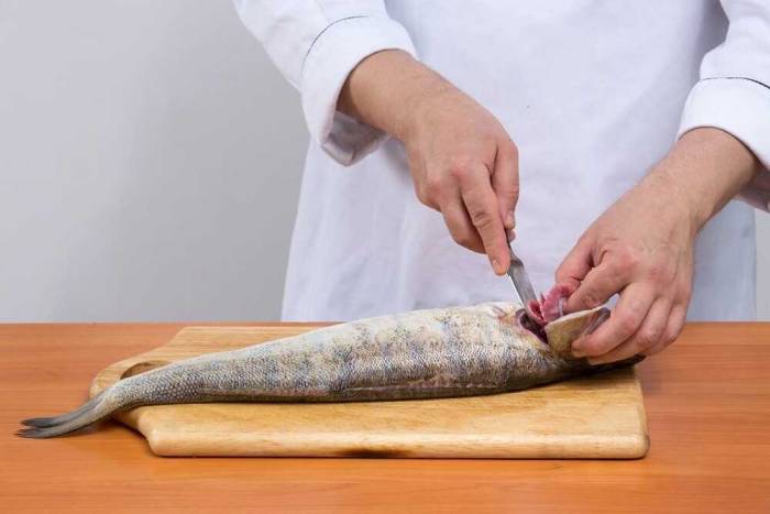Правильная разделка чехони для засолки Разделка рыбы