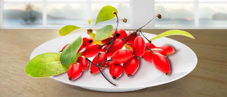 польза барбариса