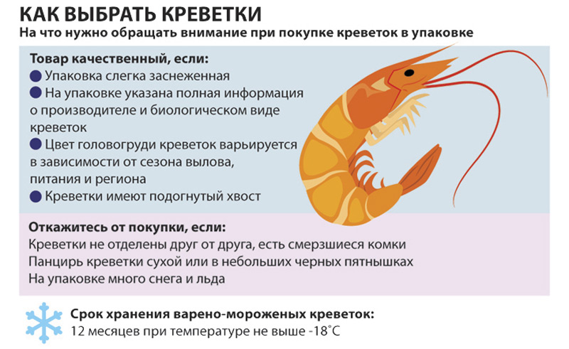Как выбрать креветки Правила выбора креветок