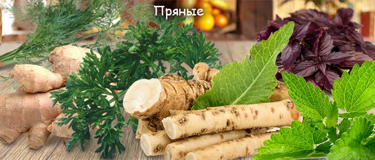 Пряные