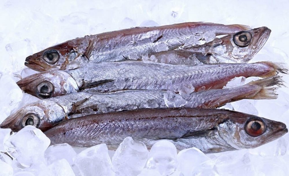 Свежемороженые тушки путассу Путассу в магазине