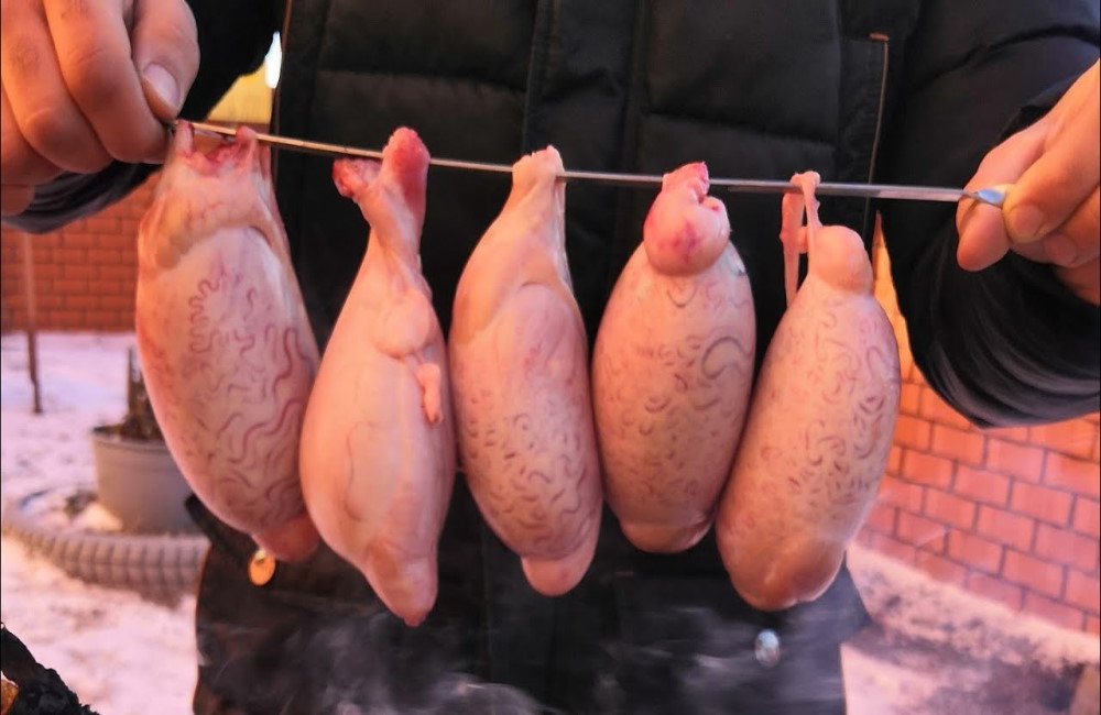 Свежие бычьи яйца Повар держит бычьи яйца