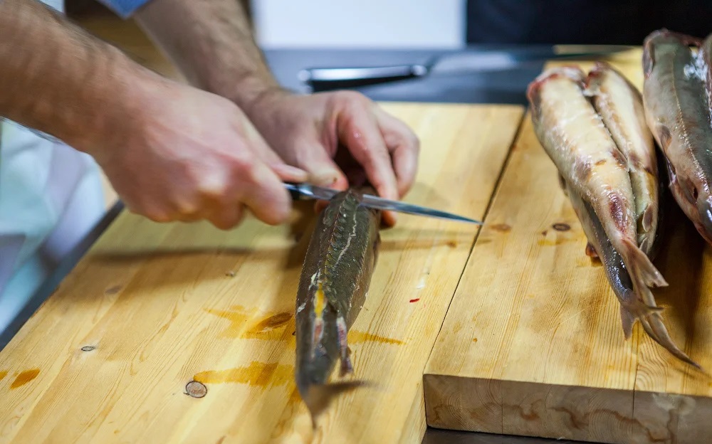 Разделка тушек стерляди Разделка стерляди ножом